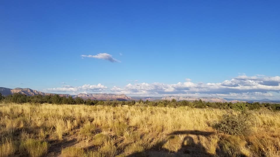 What is Vortex ATV Rental?