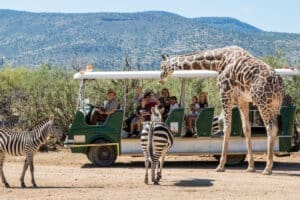 Out of Africa located in Camp Verde, Arizona
