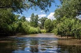 View looking into the Green Verde River of Arizona