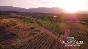 Vineyard View overlooking the mountains in Northern Arizona